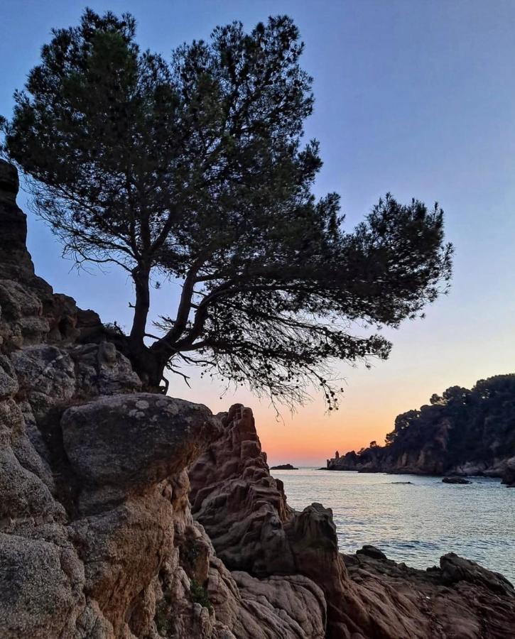 Seahomes Vacations, La Casa Blue Mediterranean Lifestyle Blanes Esterno foto